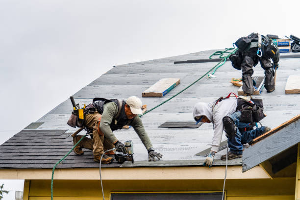 Professional Gutter Installation technician working in Tatamy, PA